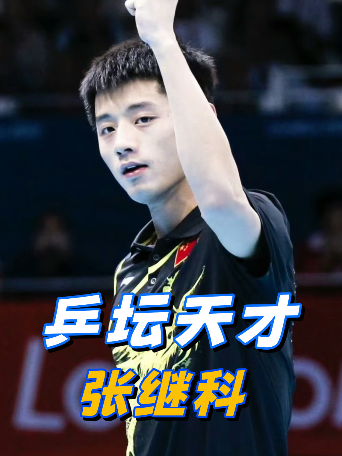 韩国乒乓球队血洗中国乒乓球队，张继科惊艳世界的简单介绍